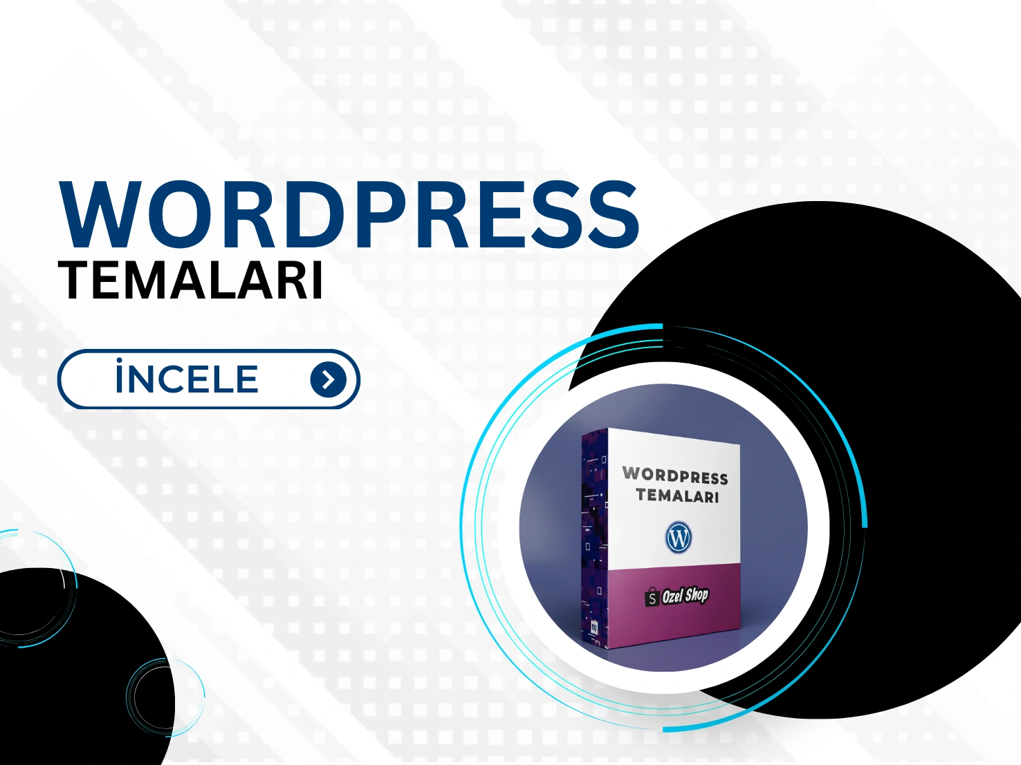 WordPress Temaları