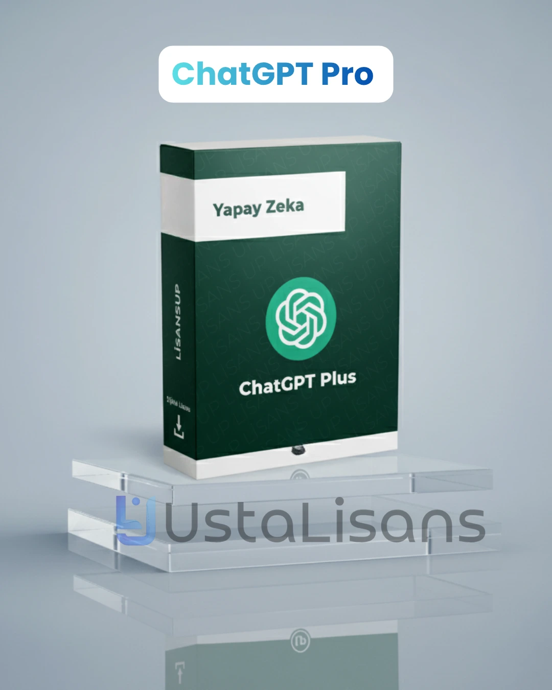 ChatGpt Plus - 1 Aylık Kişisel Hesap